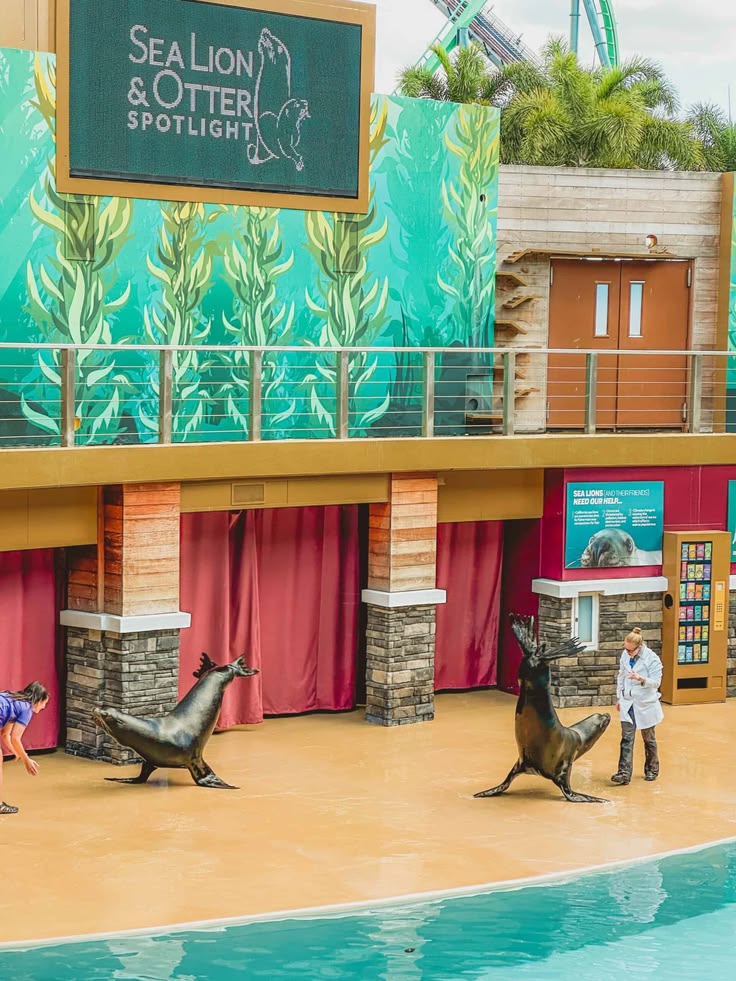 Yes, all of the shows at SeaWorld Orlando are free. The free