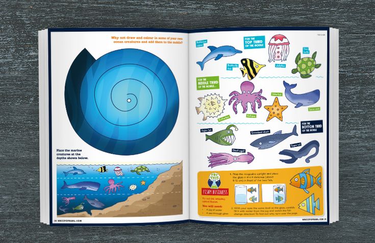 For 8 issues, I created fun pages for Whizz Pop Bang magazin