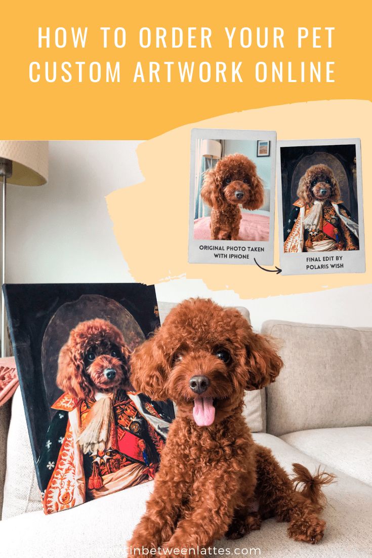 How To Turn Your Pet Photo into an Art Masterpiece