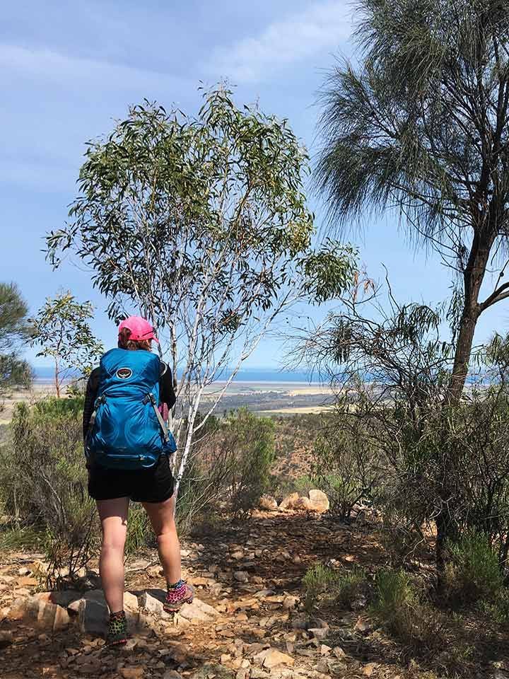 SNOWYS BLOG > Guide to Hiking in Mount Remarkable National P