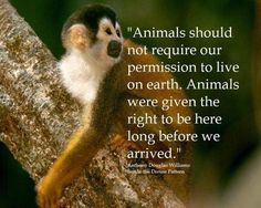 Conservation is the key to humanity's survival