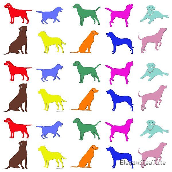 Multicolor labradors in ten different poses in a large tiled