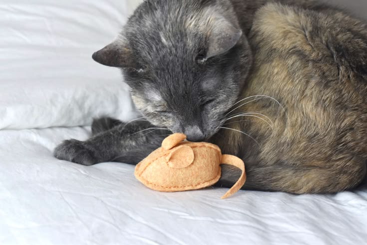 How to Sew a Catnip Mouse Cat Toy