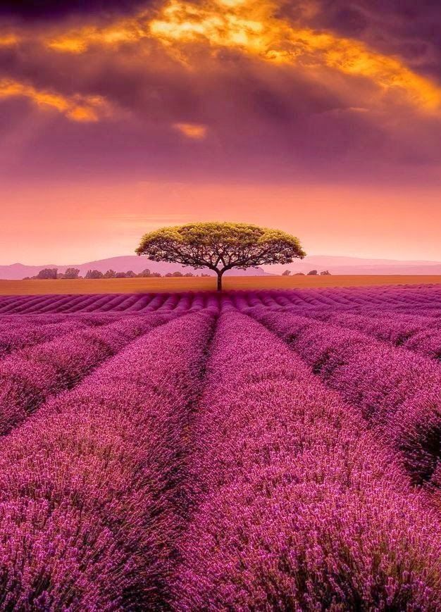 Sunset in Provence