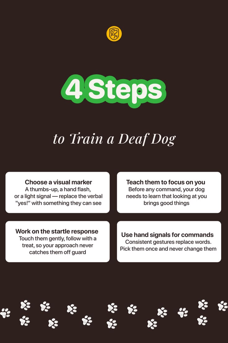 Deaf dogs can absolutely be trained, it just works different