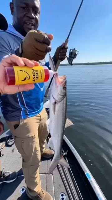 Bring Your Fishing Trips to Life—All Summer Long! ☀️🎣

Ever 