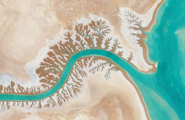 Dendritic Drainage Systems