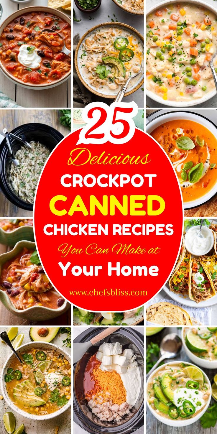 Need quick, budget-friendly meals? These 26+ crockpot canned