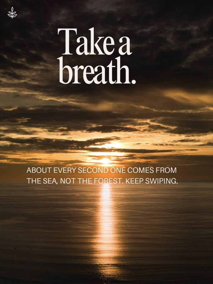 At least half of the oxygen you breathe comes from the ocean