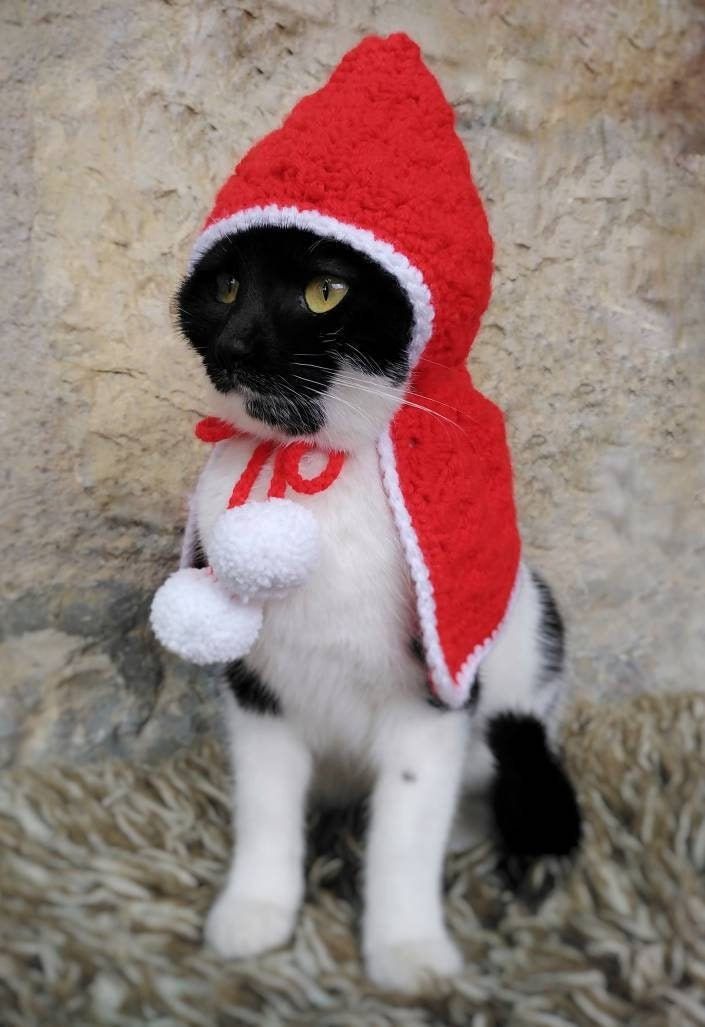 Little Red Riding Hood Cat Costume, Pet Costume, Cat Hallowe