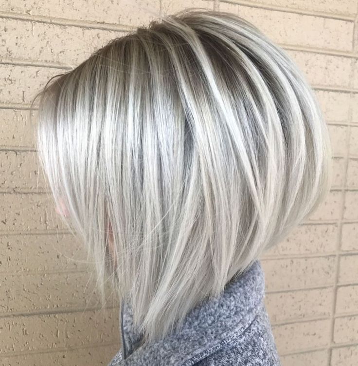 71. Voluminous Silver Bob