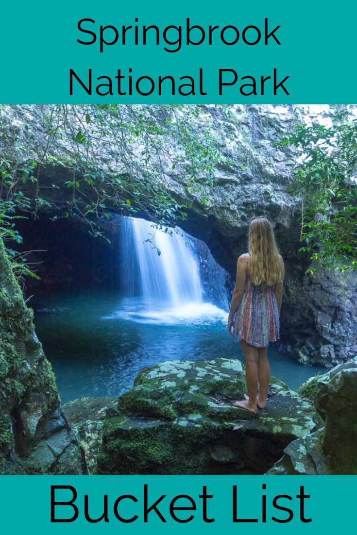 Things to do in Springbrook National Park - the Bucket List