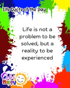 Life is not a problem to be solved, but a reality to be expe