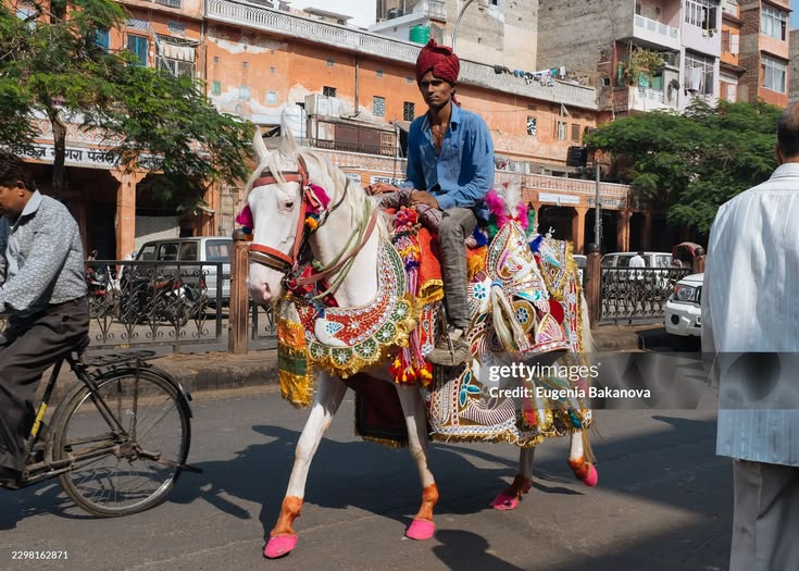 Man riding heavily decorated white horse on a street in Jaip