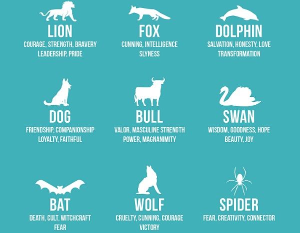 Infographic: A guide to common symbols used in graphic desig