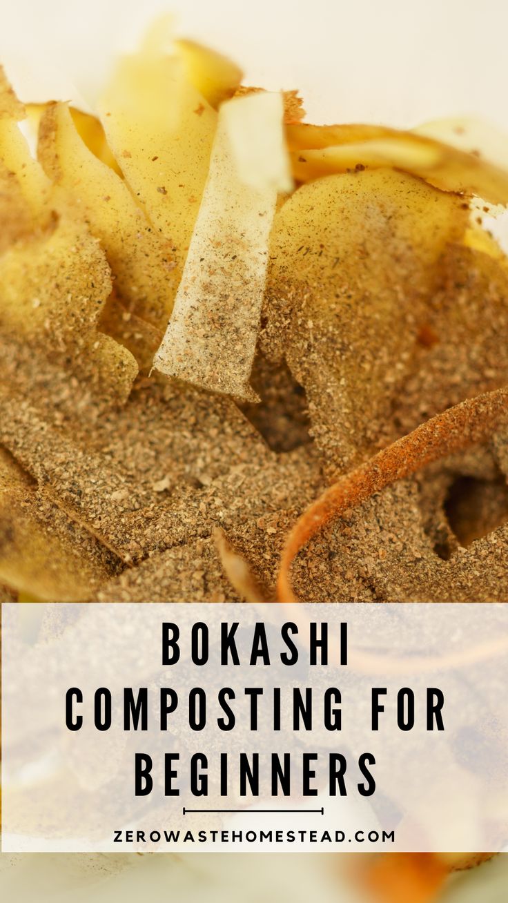 Master the art of composting indoors the easy way... with a 