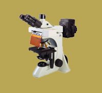 Microscopio fluorescente :: Tipos de microscopios : compuest
