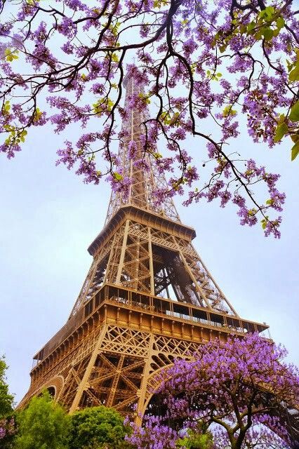 Preciosa vista primaveral de la #torre eiffel