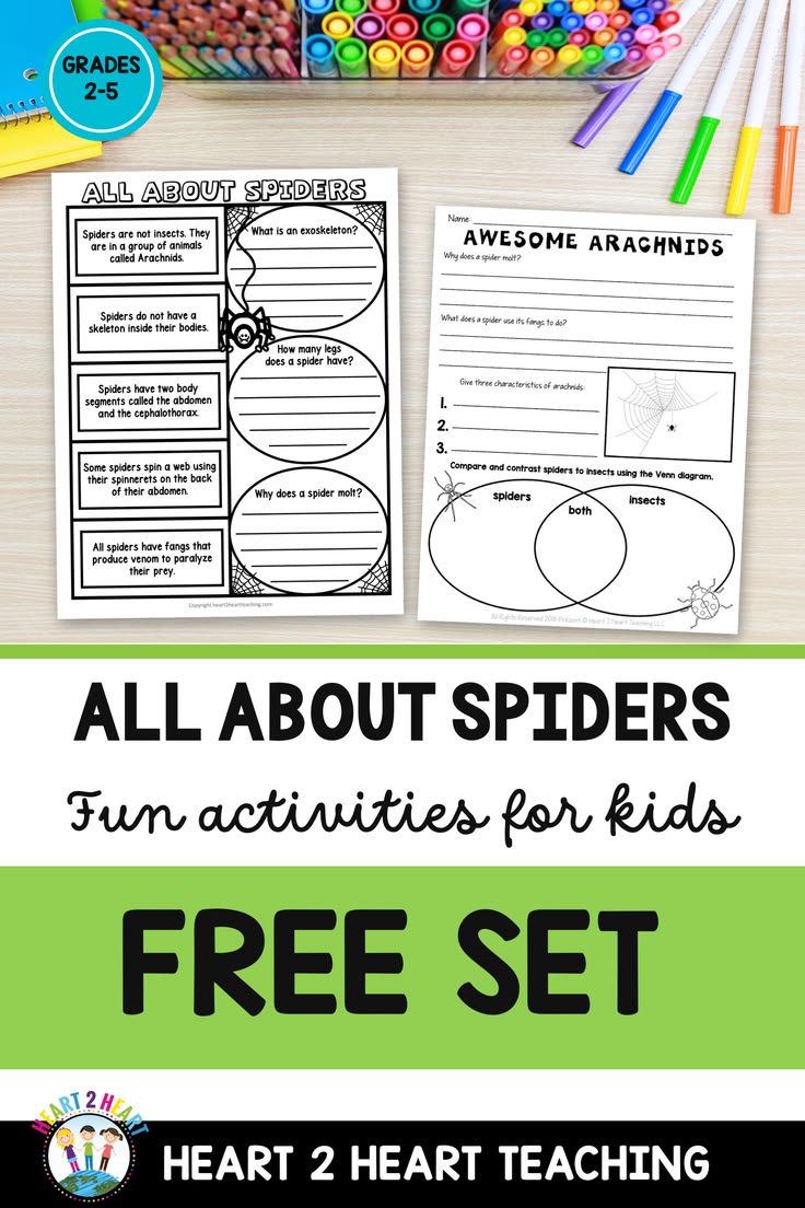 All about spiders, free! Students learn why spiders molt, ho