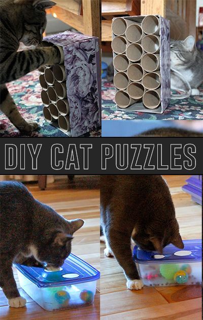Make your own DIY cat puzzles