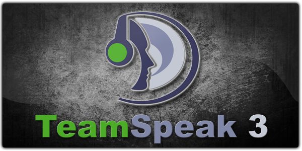 If you are in the market for a cheap Teamspeak server, you’v