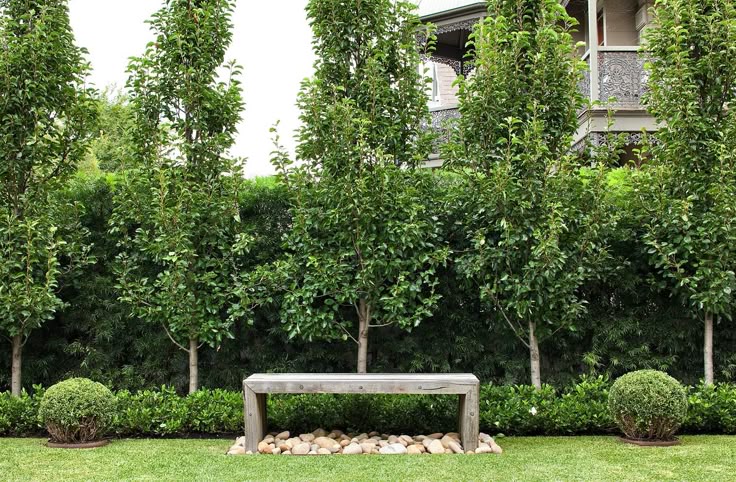 Lush Green Backyard Idea