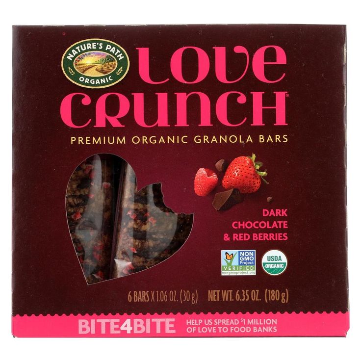 Nature's Path Organic Granola Bar - Dark Chocolate Red Berri