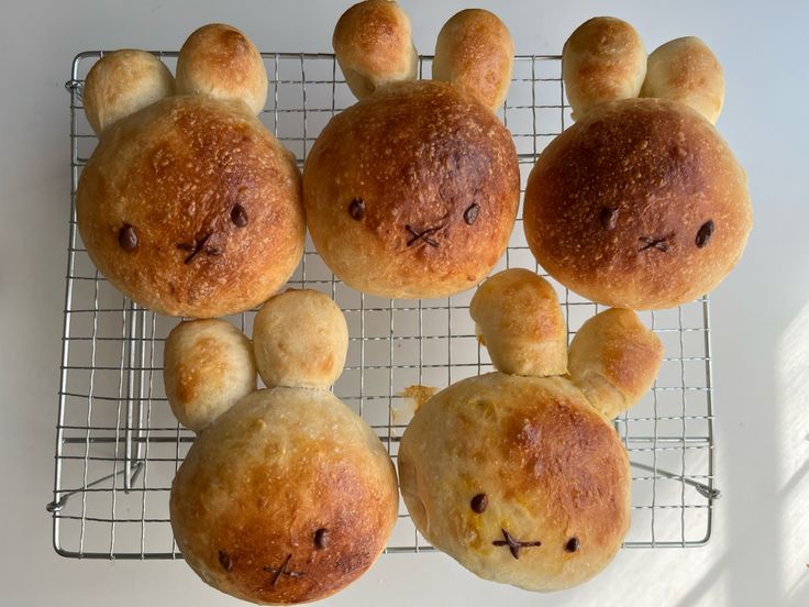 miffy buns filled with red bean, custard, or simple plain!