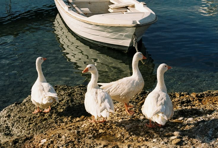 Spetses, October 2025