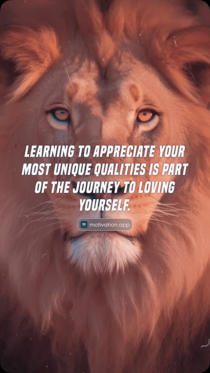 Quote of the Day ✨

QOTD - What’s one thing that makes you Y