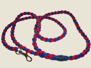 Small Dog Lead  Red & Blue 42"