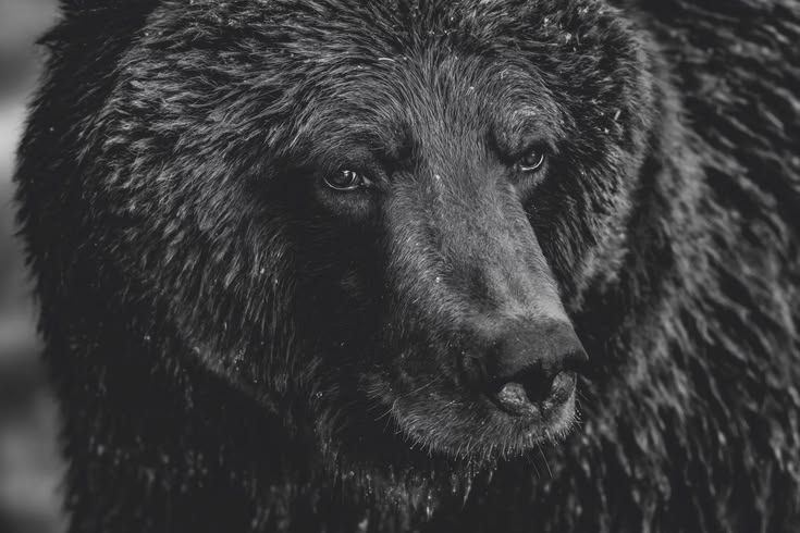 Known for his stunning photos of wildlife and landscapes, as