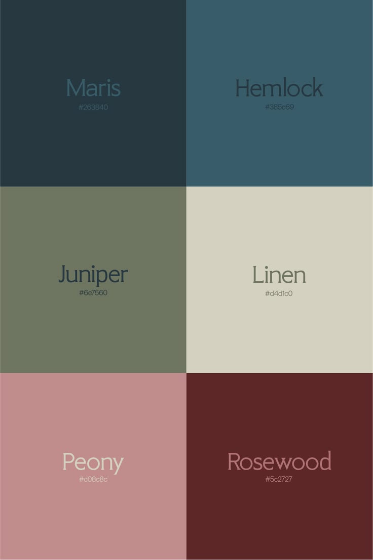 A sophisticated brand color palette combining deep blue, sla