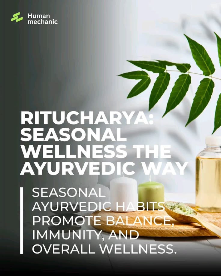 Discover Ritucharya, Ayurveda's timeless approach to seasona