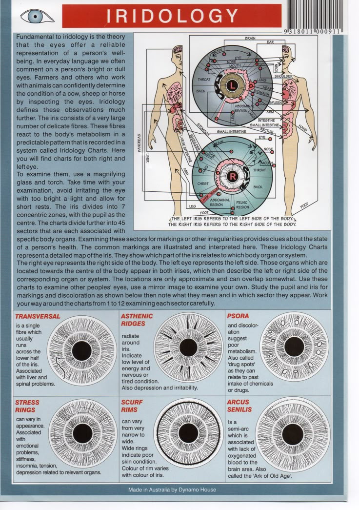 Iridology chart for eyes page 2