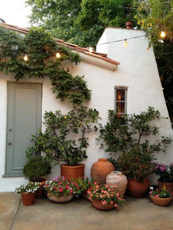 Small Container Garden