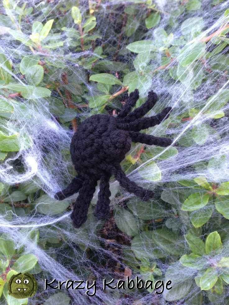 From spooktacular decorations to unique gift ideas, dive int