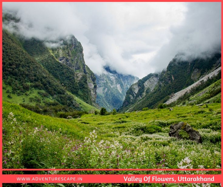 The Valley of Flowers is a high-altitude Himalayan valley th