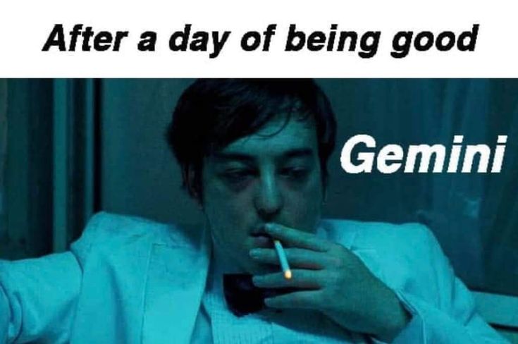 Gemini Memes