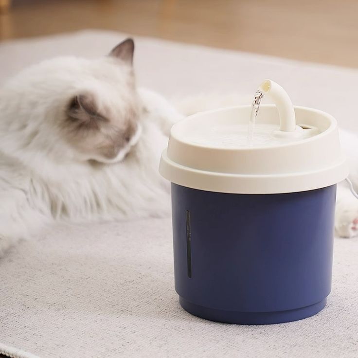 💚𝘿𝙤𝙘𝙖𝙡 𝙈𝙞𝙡𝙠 𝙏𝙚𝙖 𝙋𝙚𝙩 𝙁𝙤𝙪𝙣𝙩𝙖𝙞𝙣😽🥤🧋 Did you know you owe your ca
