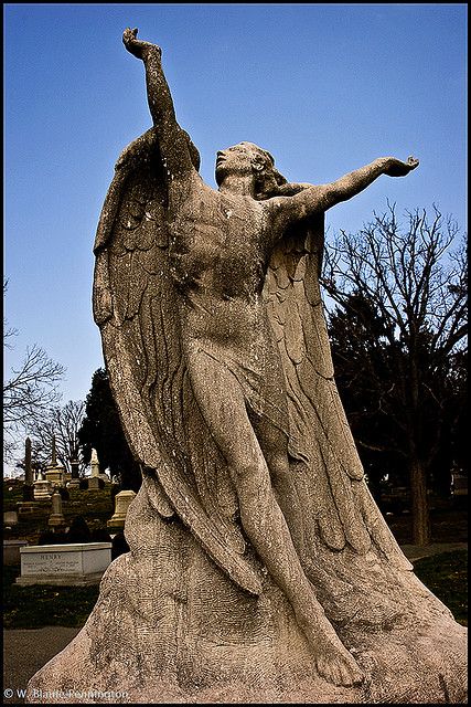 angel