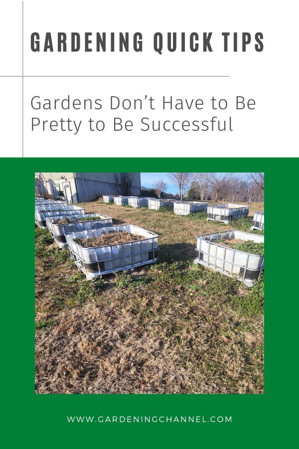 Here is a quick gardening tip for everyone: Focus on creatin