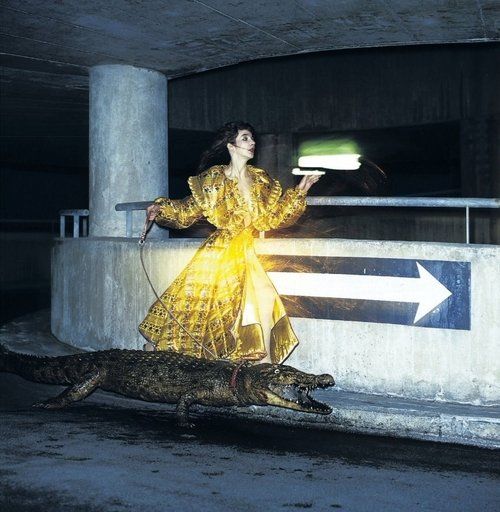 FEATURE: Kate Bush: The Iconic Shots: ‘Walking the Crocodile