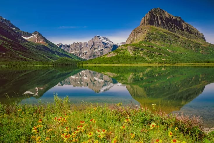 Montana, often called the “Big Sky Country,” is a paradise f