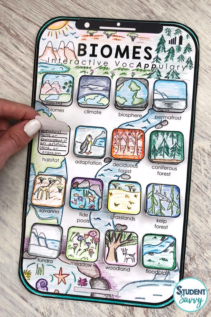 The Best Teaching Tools for Learning Vocabulary!