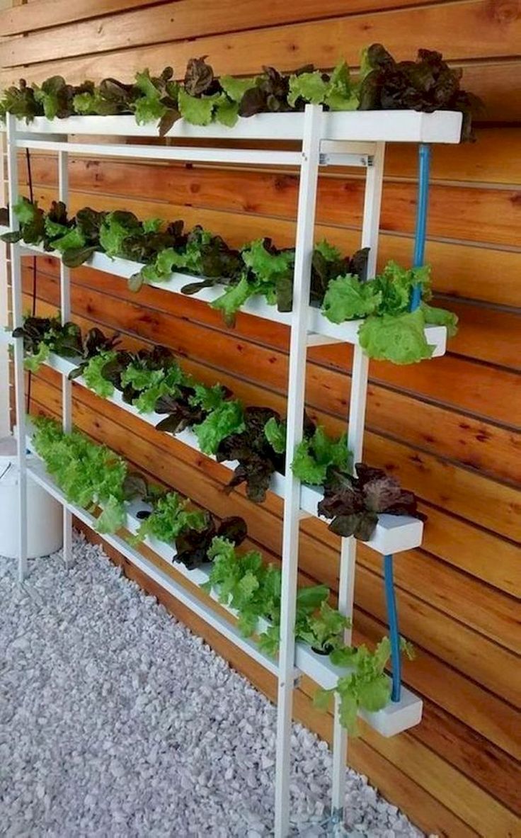 Discover Easy Ways; How to Build Creative Vertical Garden To