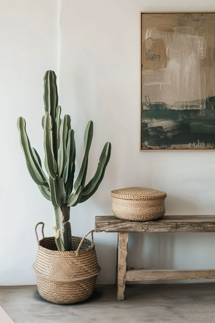 Discover the top 14 succulents that thrive in low-light cond