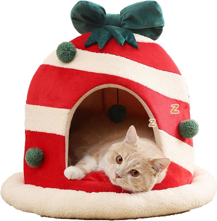 Pamper your furry companion with a holiday retreat. Browse o