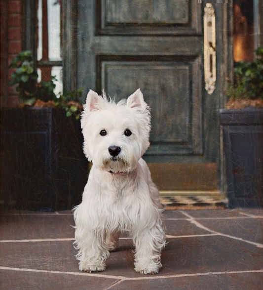 Welcome to my home
