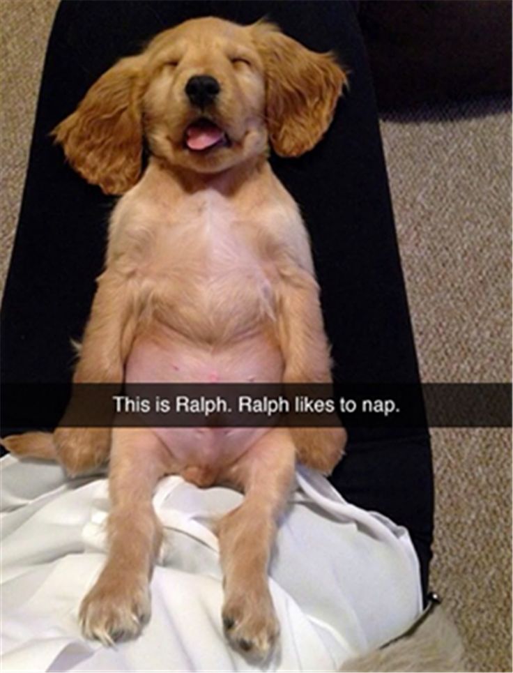 Funny Animal Pictures Of The Day – 25 Pics